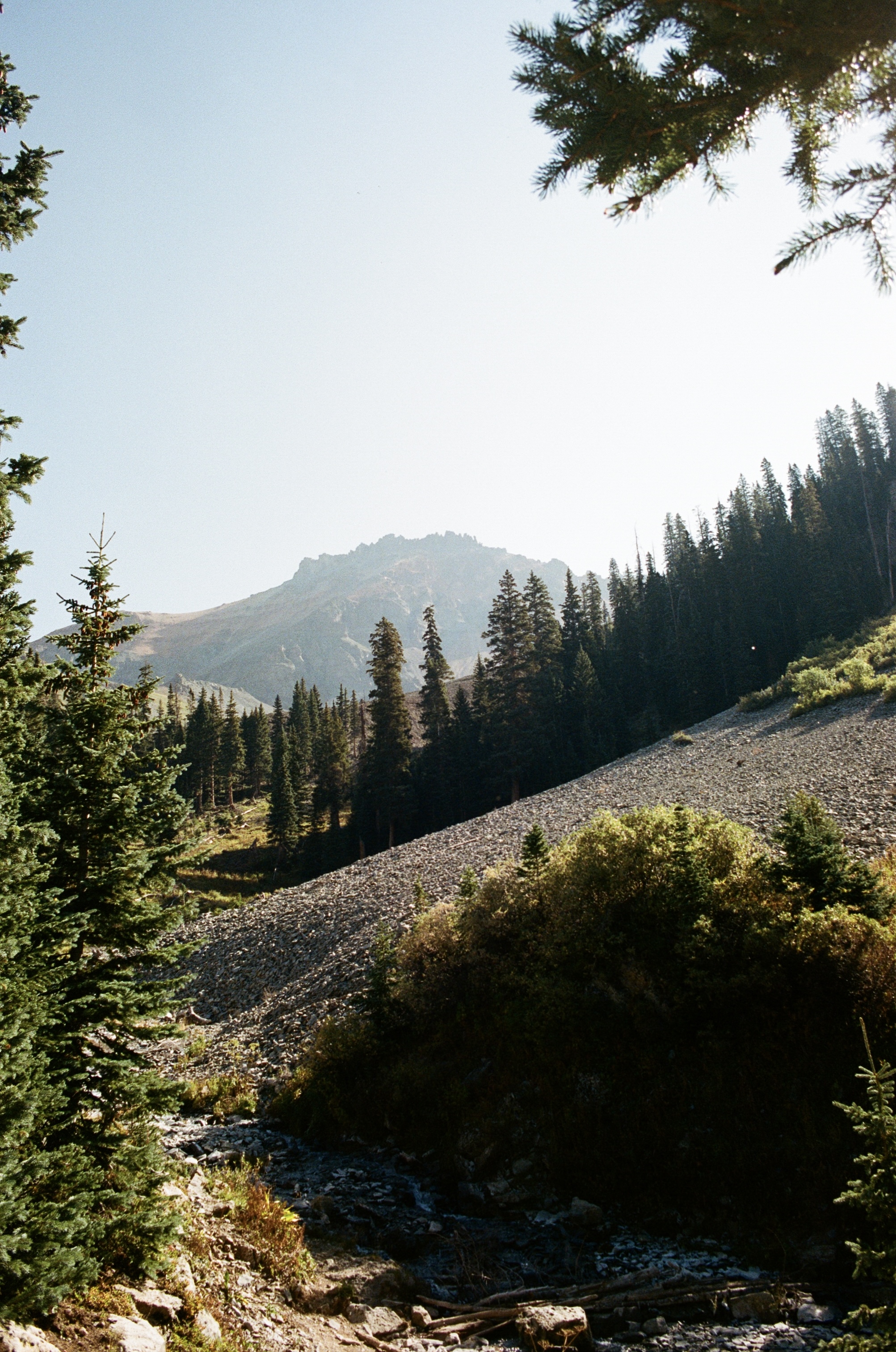 Mountain landscape, film photography by Cate Weiser
