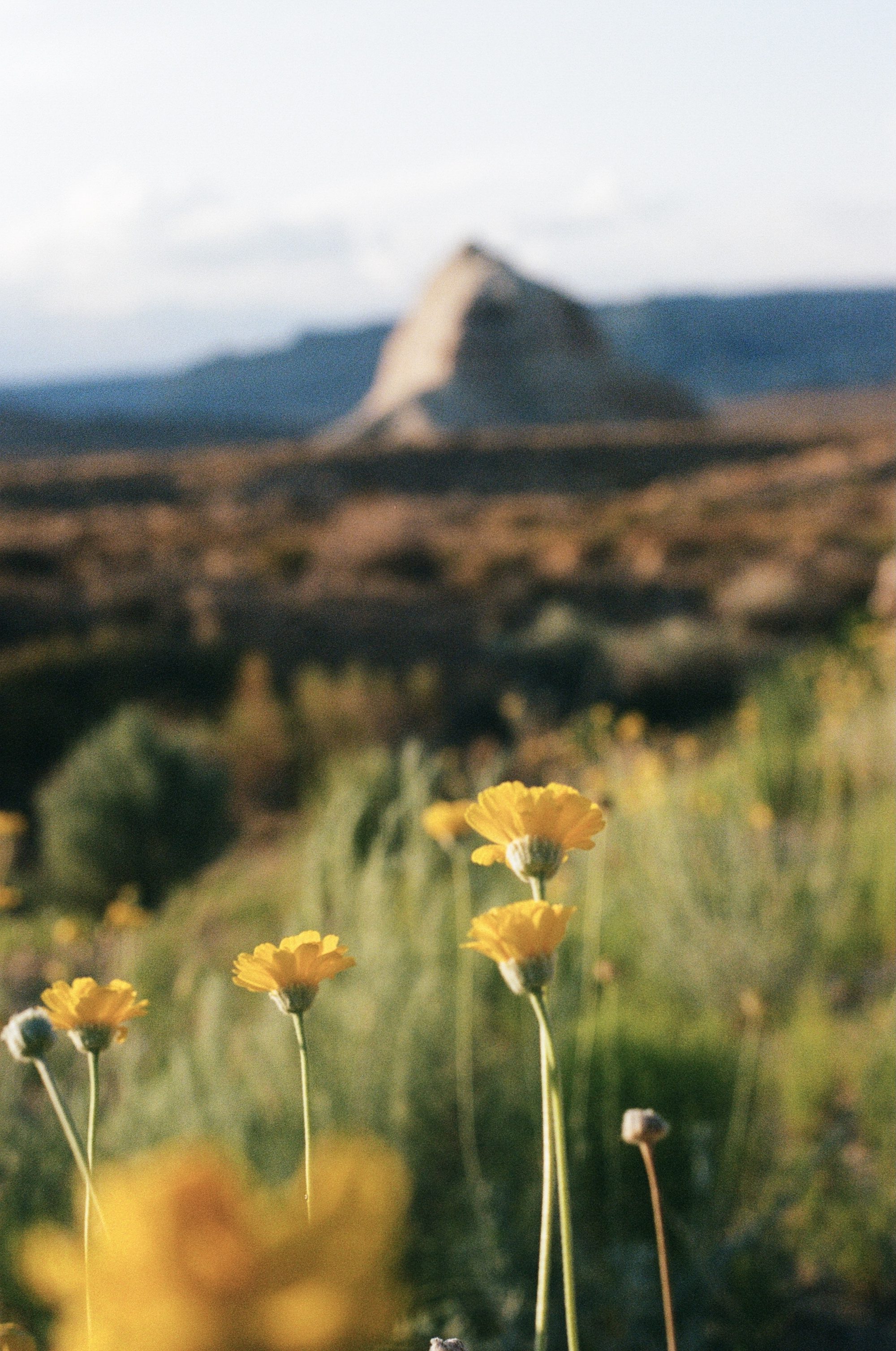 Film photography