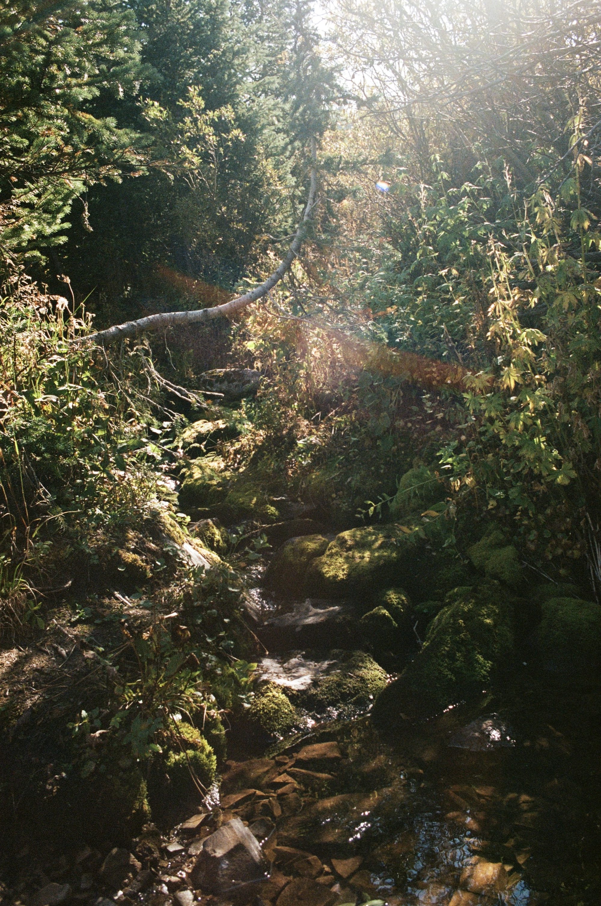 Film photography