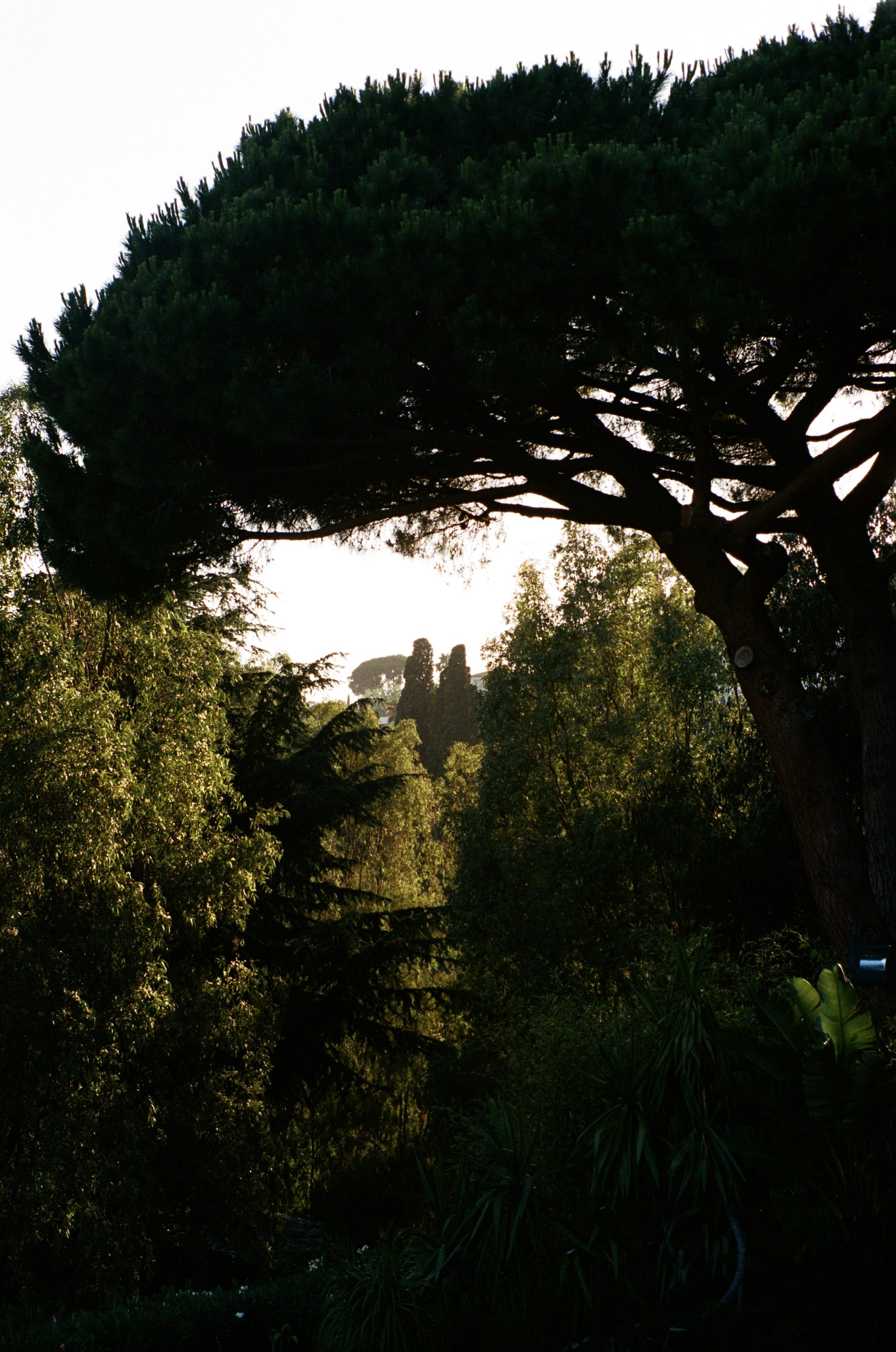 Film photography